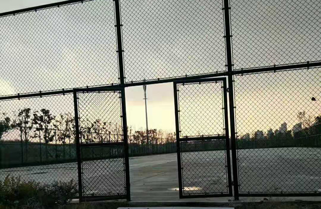 圍網 (7)