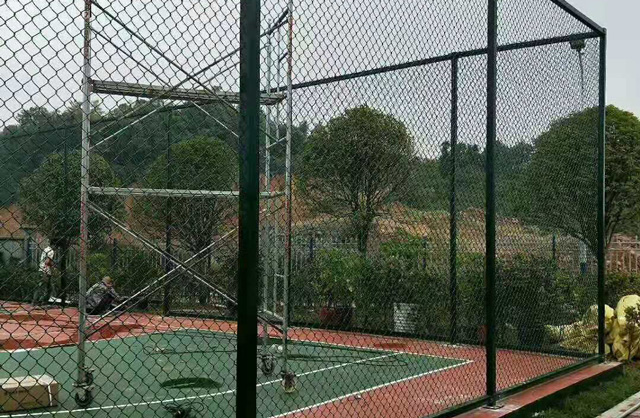 圍網 (6)